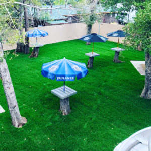 Munich-Haus-beergarden-top